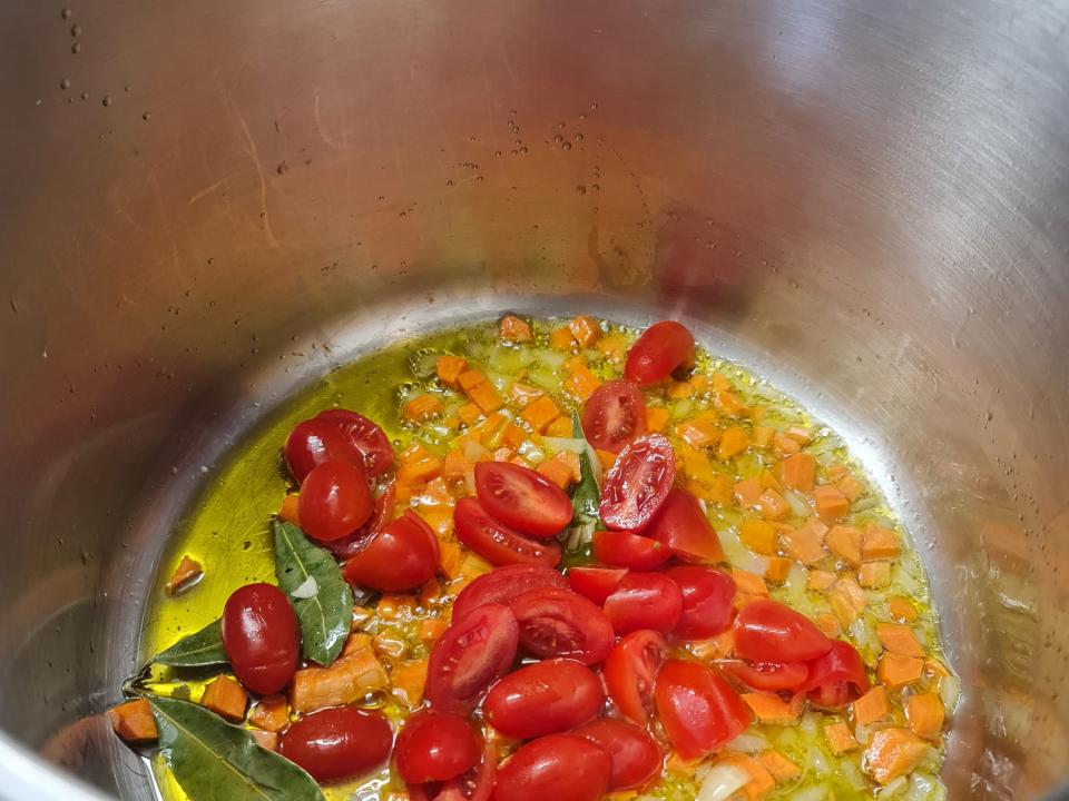 Preparazione Ulivo 2023