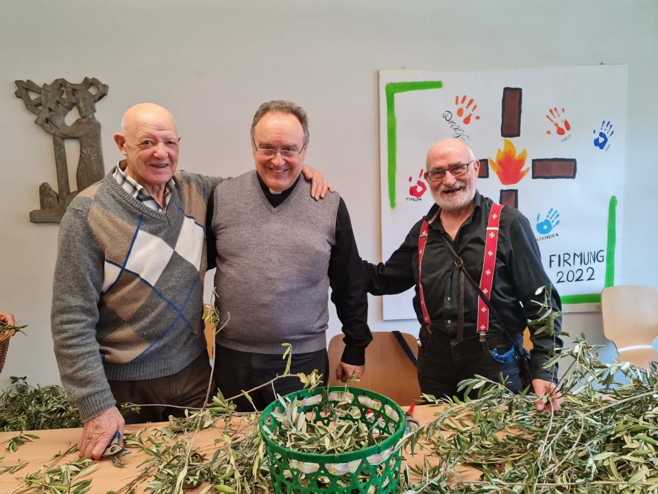 Preparazione Ulivo 2023