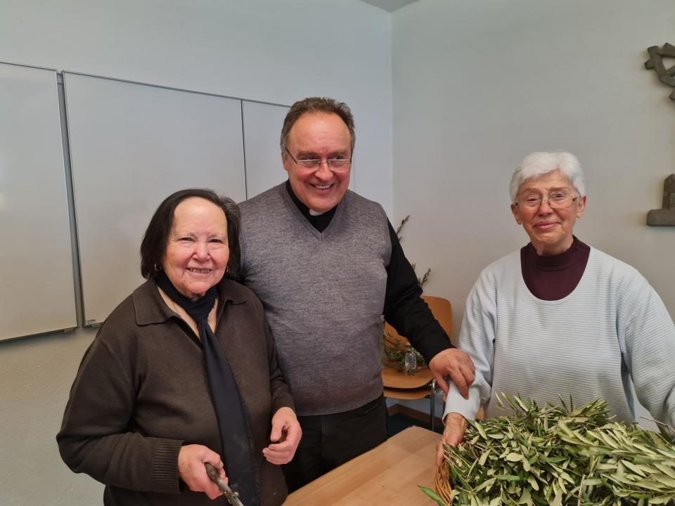 Preparazione Ulivo 2023