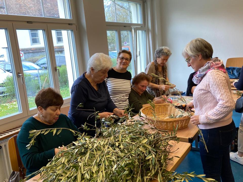 Preparazione Ulivo 2023