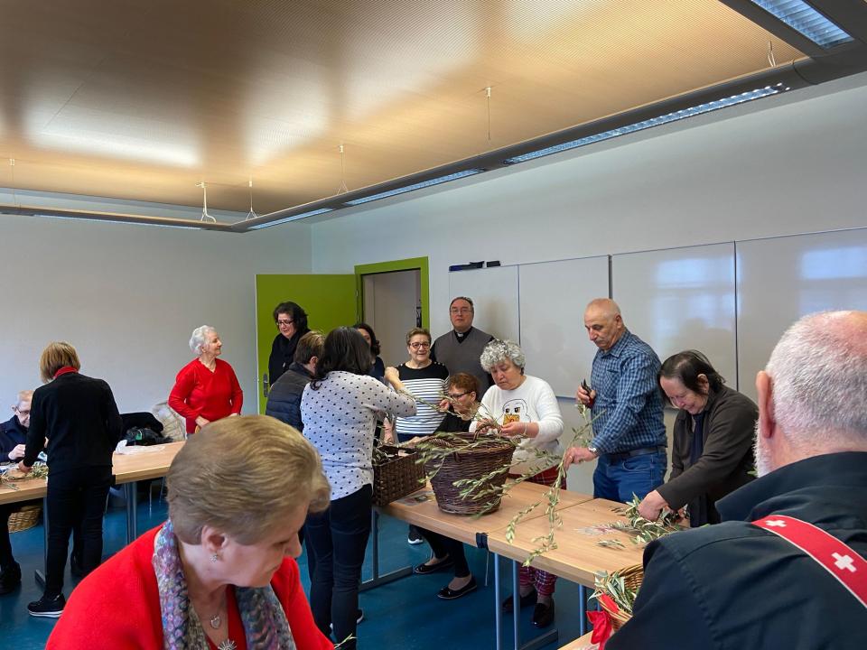 Preparazione Ulivo 2023
