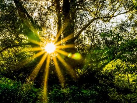 Il virus della tristezza