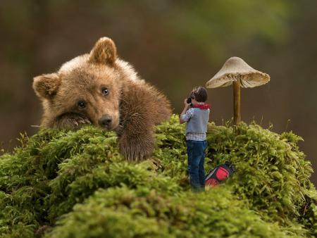 In Italia … solo gli orsi