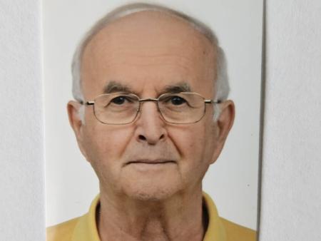 Domenico  Ravizza
