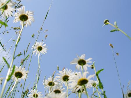 MISERICORDIATI E MISERICORDIOSI